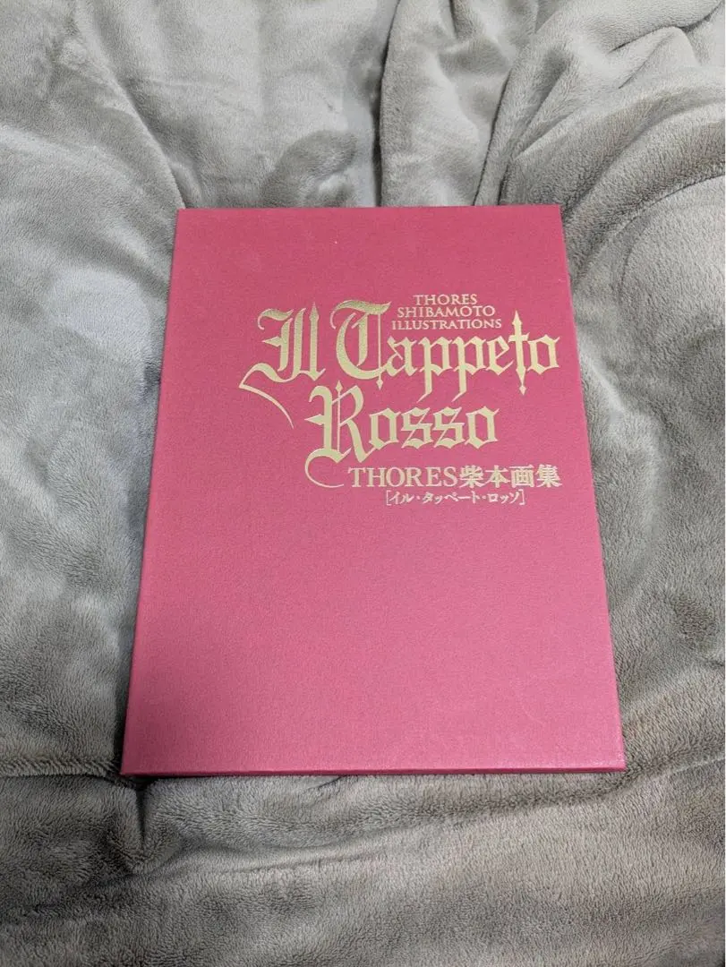 2026年最新】THORES柴本画集 IL TAPPETO ROSSOの人気アイテム - メルカリ