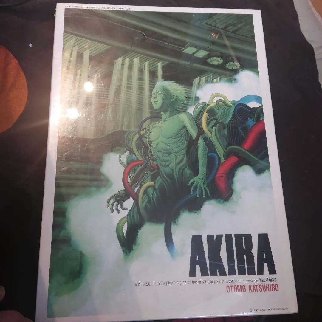 2026年最新】akiraパズルの人気アイテム - メルカリ