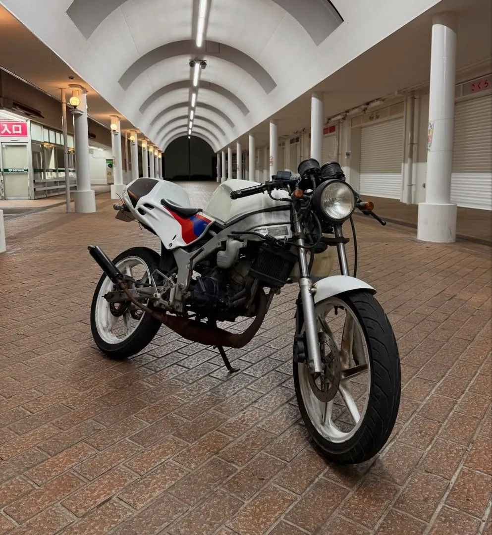 2026年最新】リップス チャンバーの人気アイテム - メルカリ