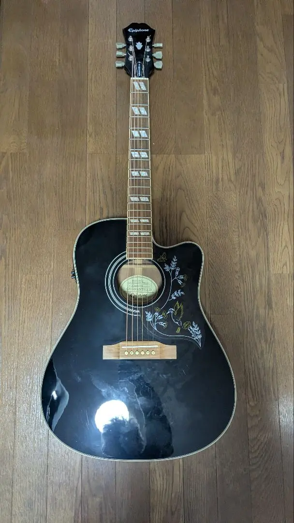 2026年最新】エピフォンハミングバードの人気アイテム - メルカリ