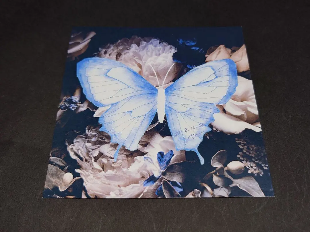 2026年最新】aimer アナザージャケットの人気アイテム - メルカリ