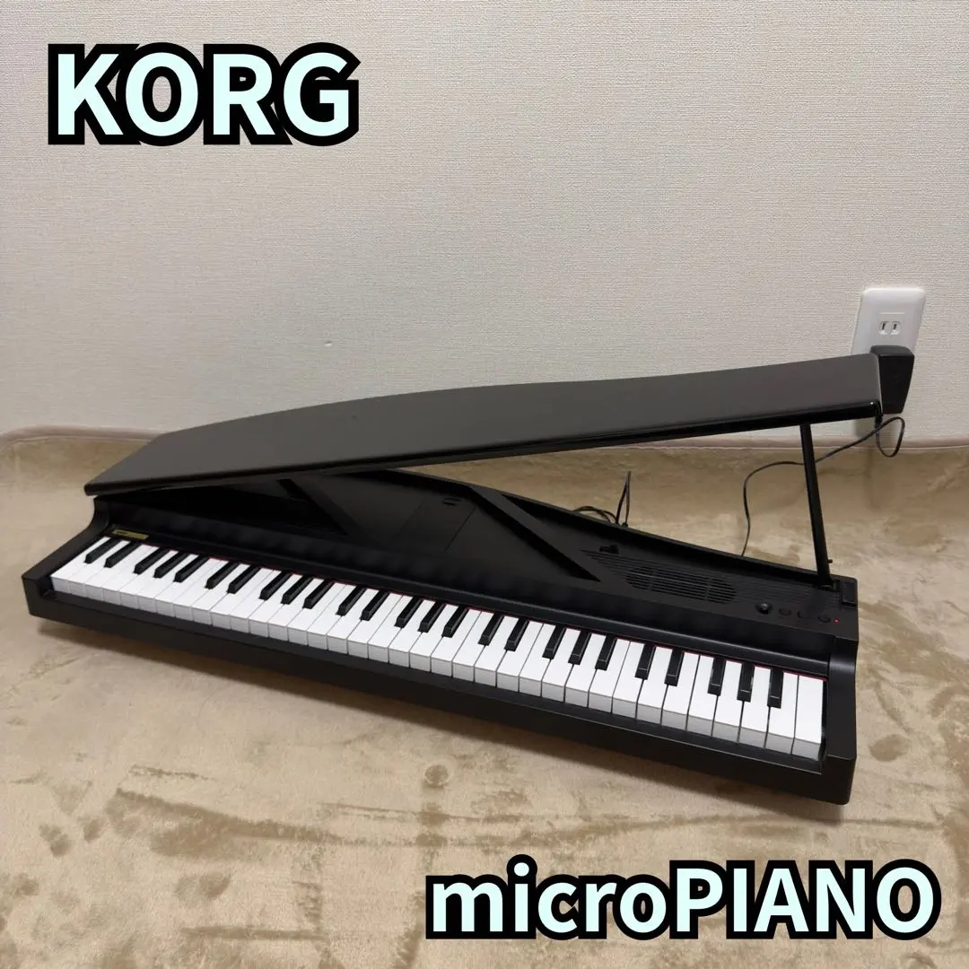 2026年最新】korg micro pianoの人気アイテム - メルカリ