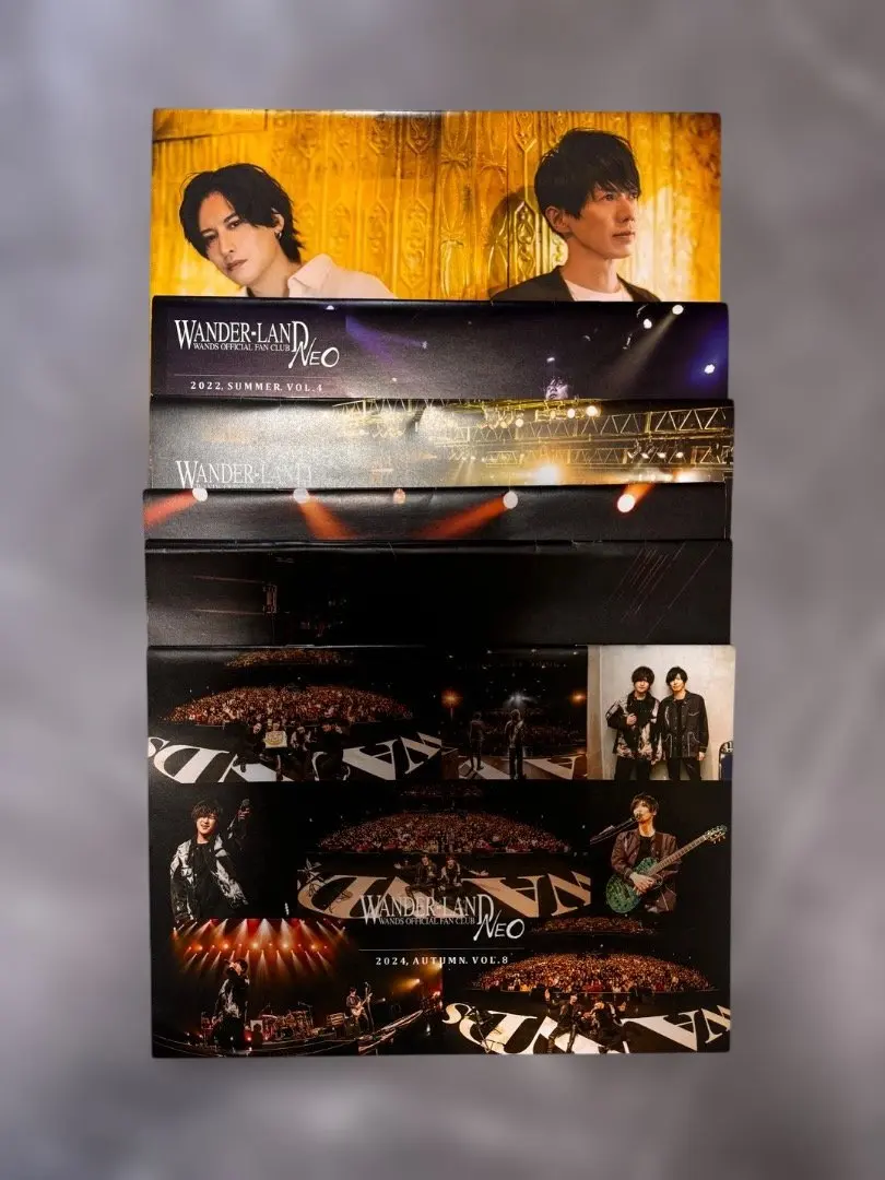 2026年最新】会報 wandsの人気アイテム - メルカリ