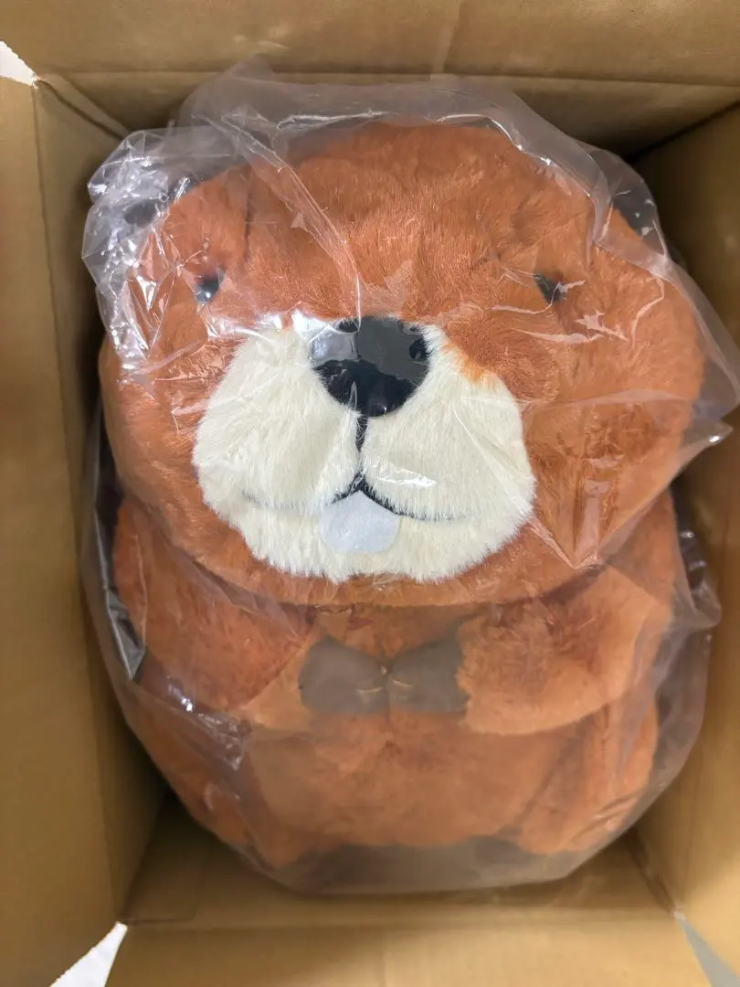 2026年最新】むっちりビーバーたっちウルトラBIGの人気アイテム - メルカリ