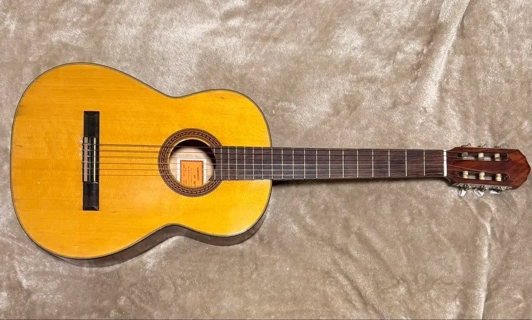 2026年最新】hashimoto ギターの人気アイテム - メルカリ