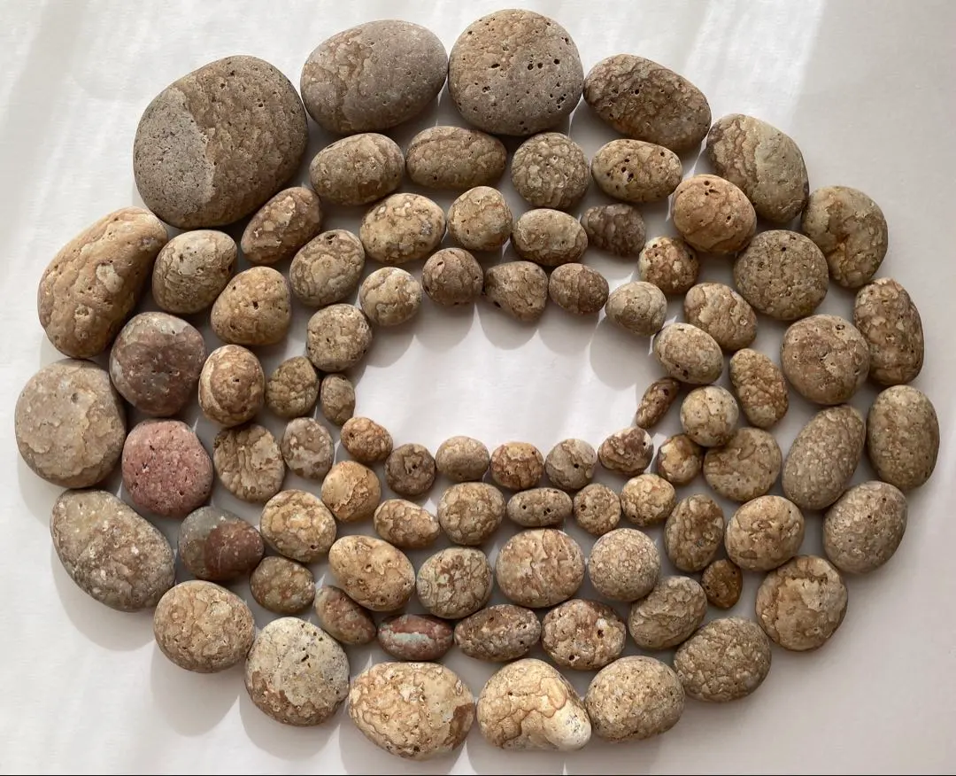 2026年最新】姫川 赤虎の人気アイテム - メルカリ