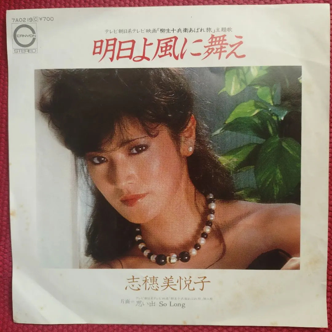 2026年最新】志穂美悦子さんの人気アイテム - メルカリ