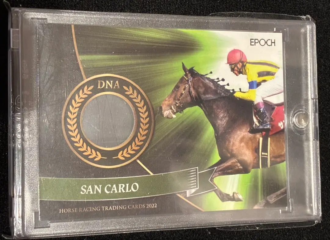 2026年最新】ホースレーシング dnaの人気アイテム - メルカリ