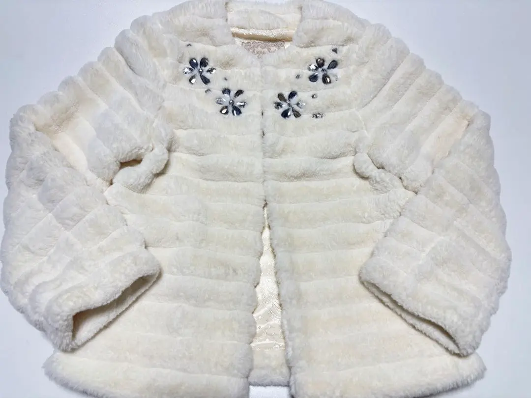 2026年最新】anna sui mini ファーブルゾンの人気アイテム - メルカリ