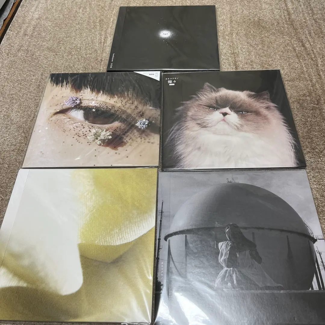 2026年最新】カネコアヤノ レコード 祝祭の人気アイテム - メルカリ