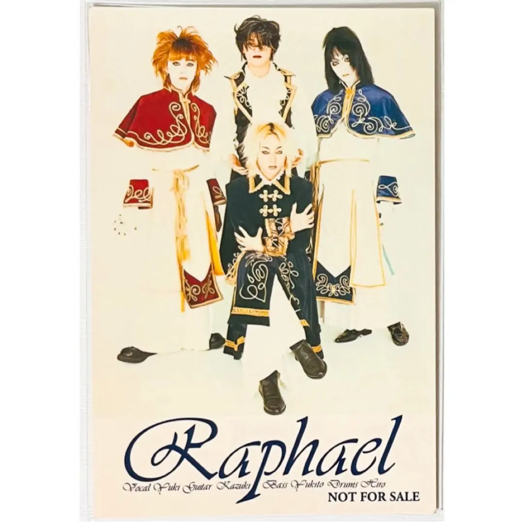 2026年最新】RAPHAEL v系の人気アイテム - メルカリ