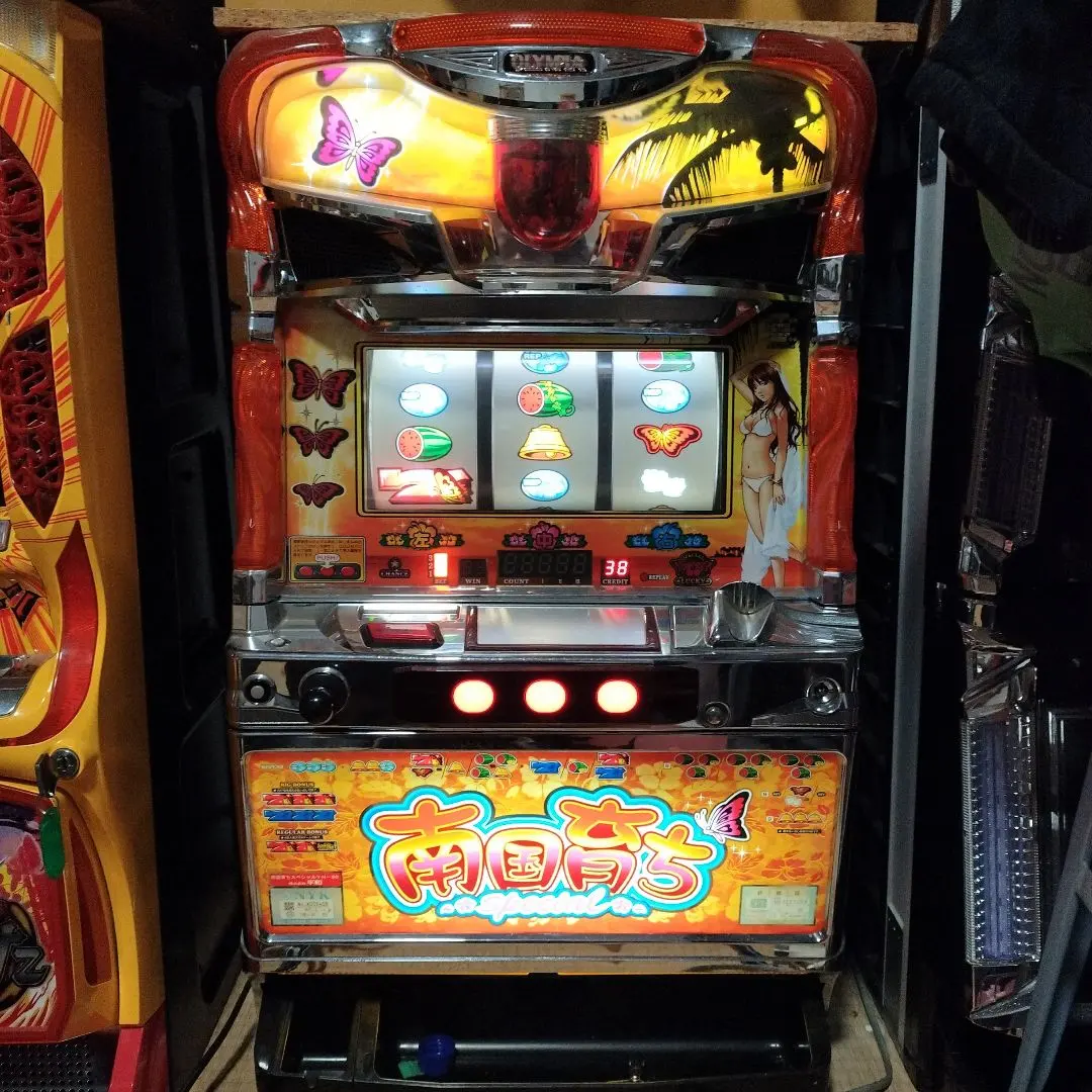 2026年最新】南国育ち実機の人気アイテム - メルカリ