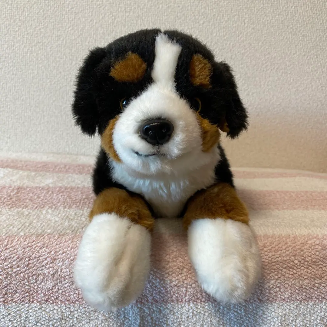 2026年最新】ぬいぐるみ 犬 バーニーズの人気アイテム - メルカリ