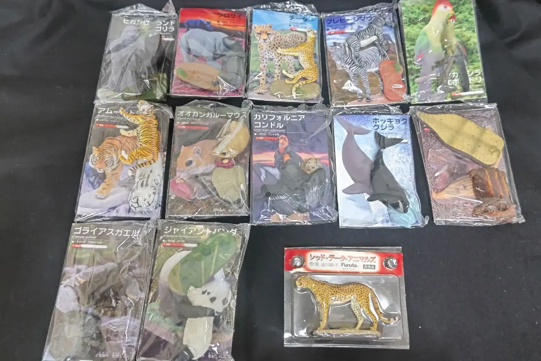 2026年最新】ゴライアス標本の人気アイテム - メルカリ