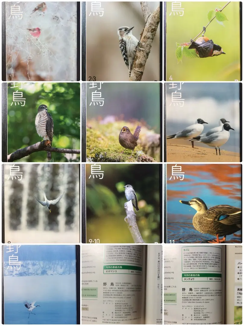 2026年最新】週刊 野鳥の世界の人気アイテム - メルカリ