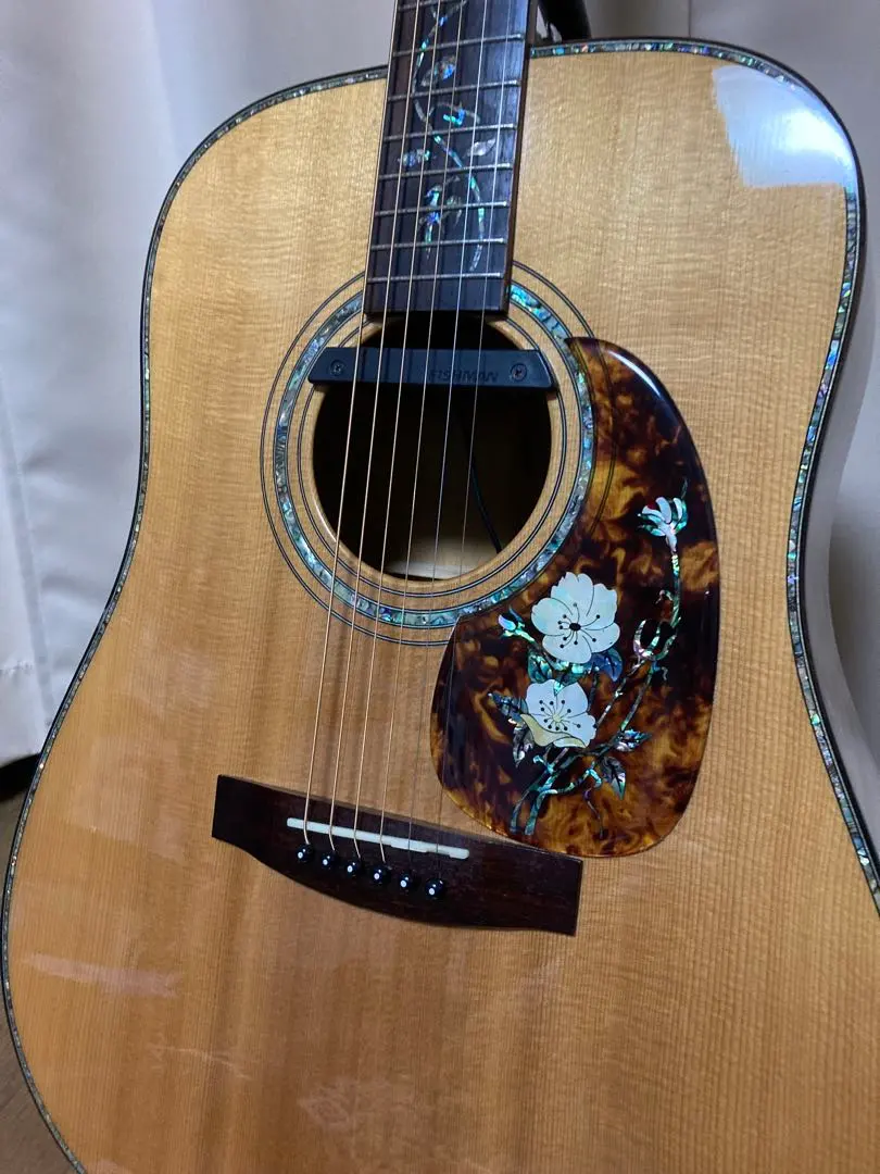 2026年最新】ROSSO 楽器・機材の人気アイテム - メルカリ