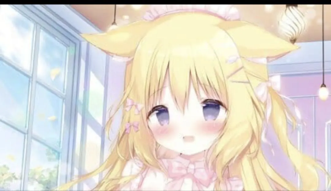 2026年最新】しらたまこ ブランケットの人気アイテム - メルカリ