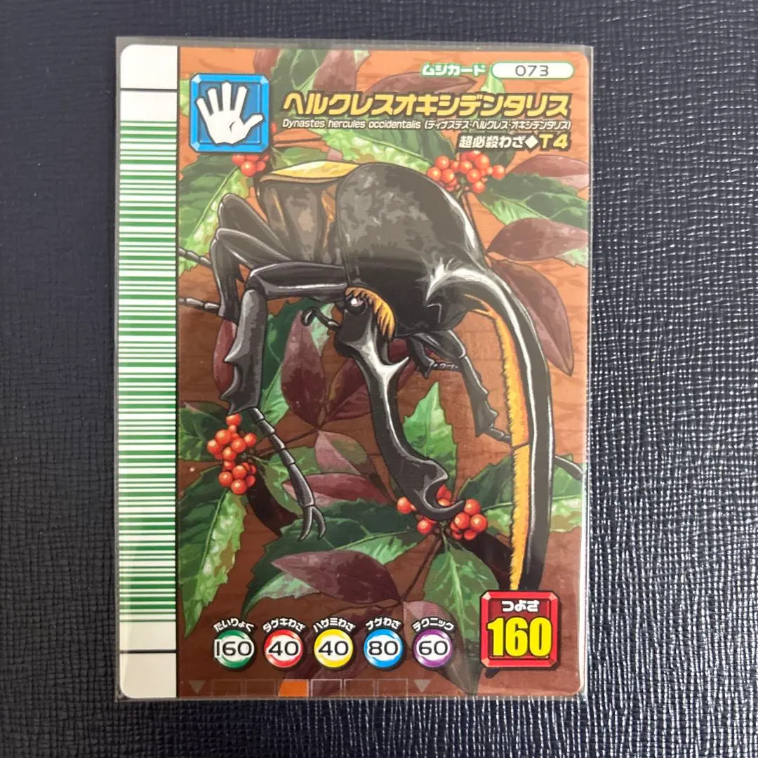 2026年最新】ムシキング ヘルクレスオキシデンタリスの人気アイテム