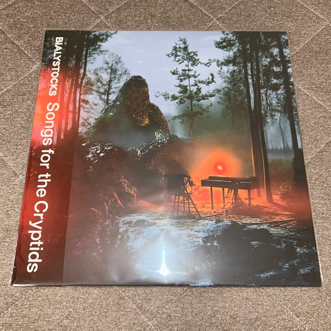 2026年最新】bialystocks レコードの人気アイテム - メルカリ