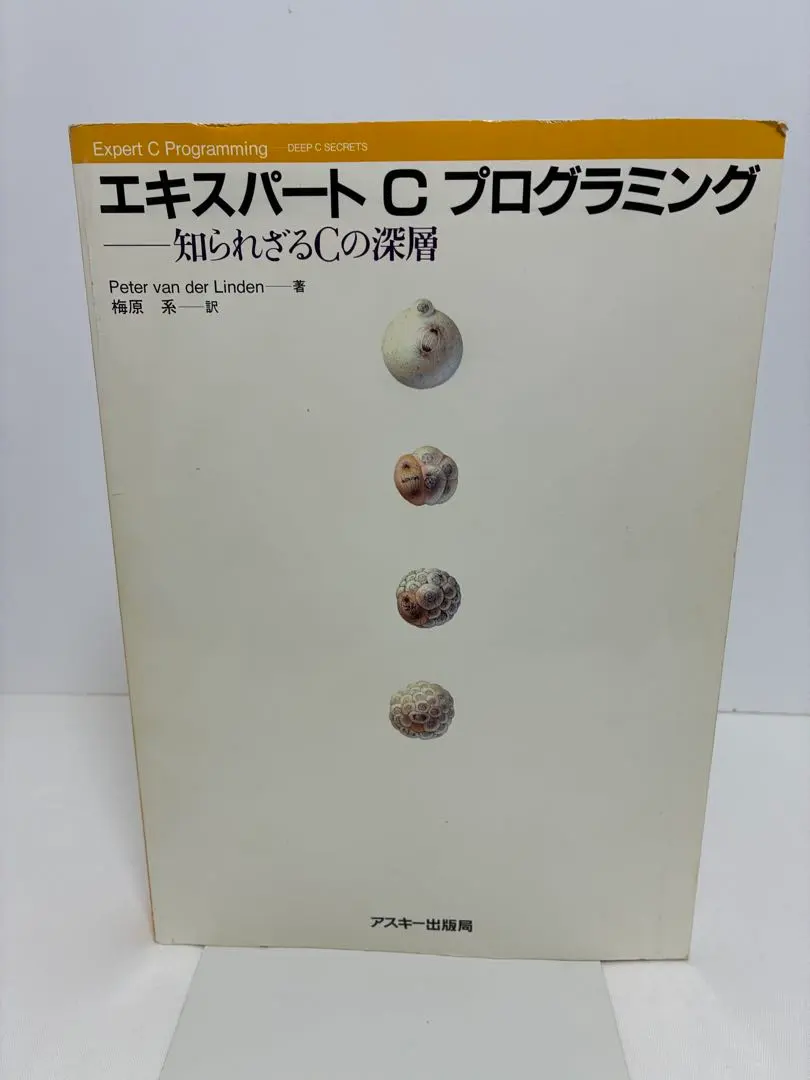 2026年最新】エキスパートCプログラミングの人気アイテム - メルカリ