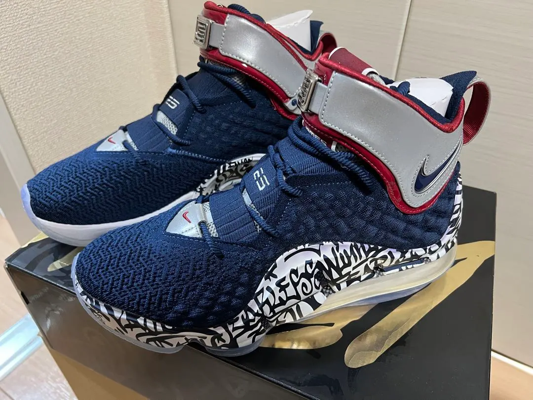 2026年最新】レブロン 17 グラフィティの人気アイテム - メルカリ