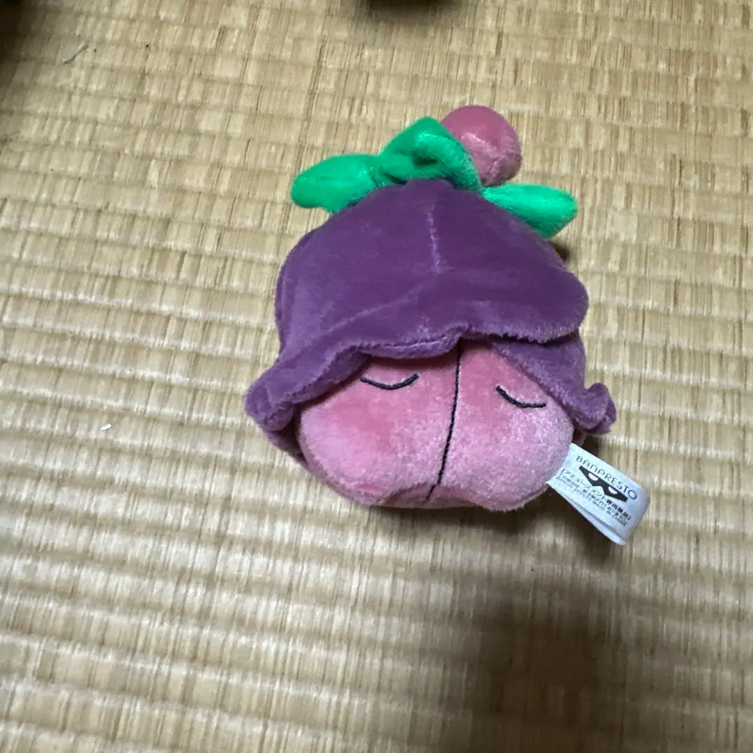 2026年最新】チェリム ぬいぐるみの人気アイテム - メルカリ