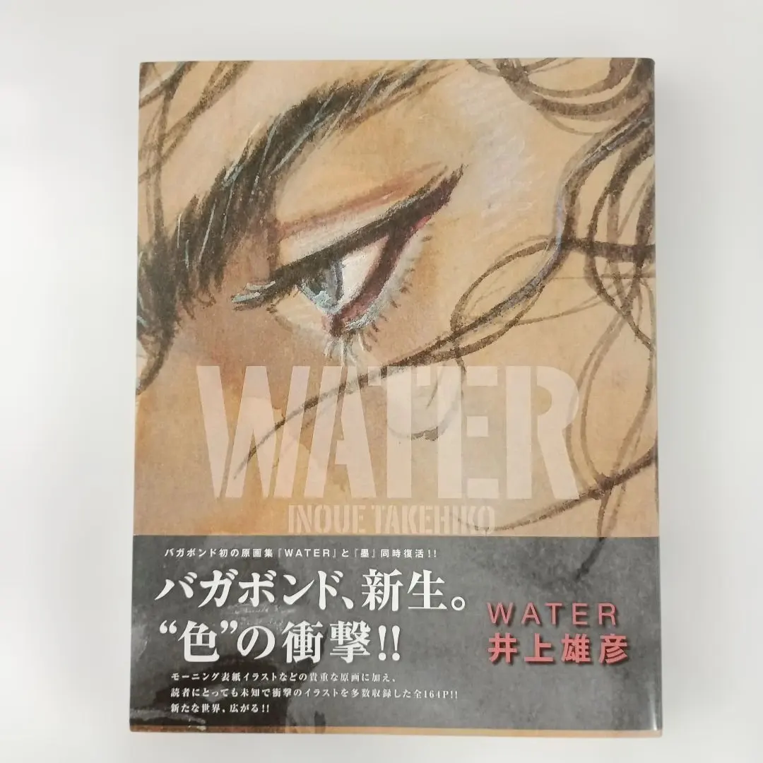 2026年最新】バガボンド 画集 waterの人気アイテム - メルカリ