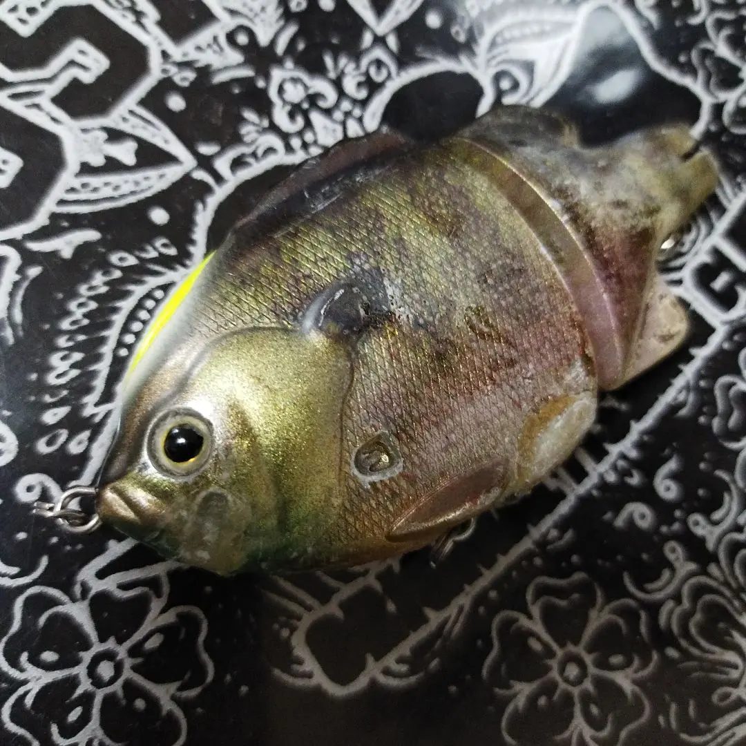 2026年最新】タイニークラッシュ クイーンの人気アイテム - メルカリ