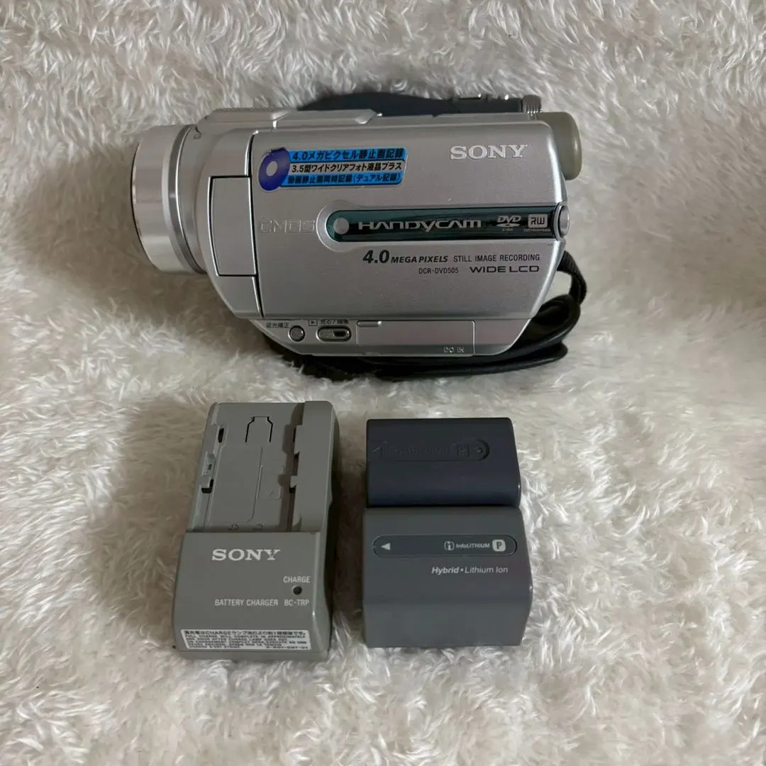 2026年最新】sony dcr-dvd505の人気アイテム - メルカリ
