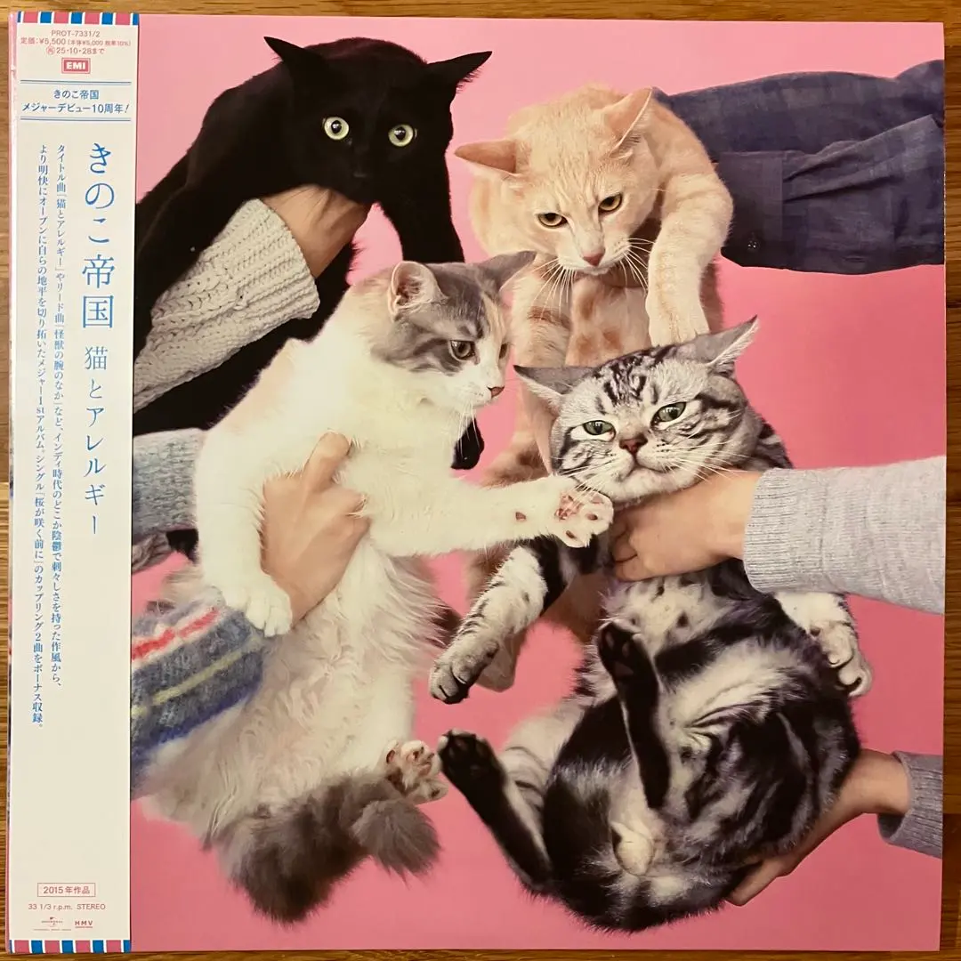 2026年最新】きのこ帝国 猫とアレルギーの人気アイテム - メルカリ