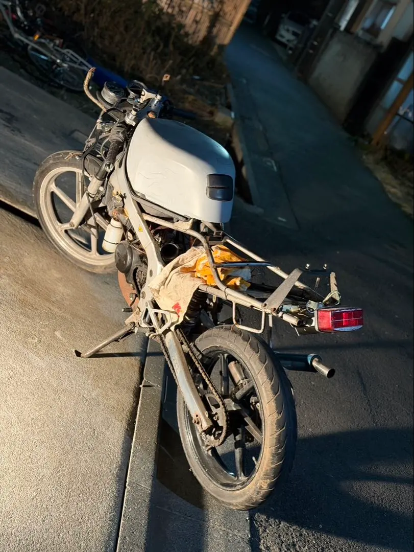 2026年最新】リップス チャンバーの人気アイテム - メルカリ