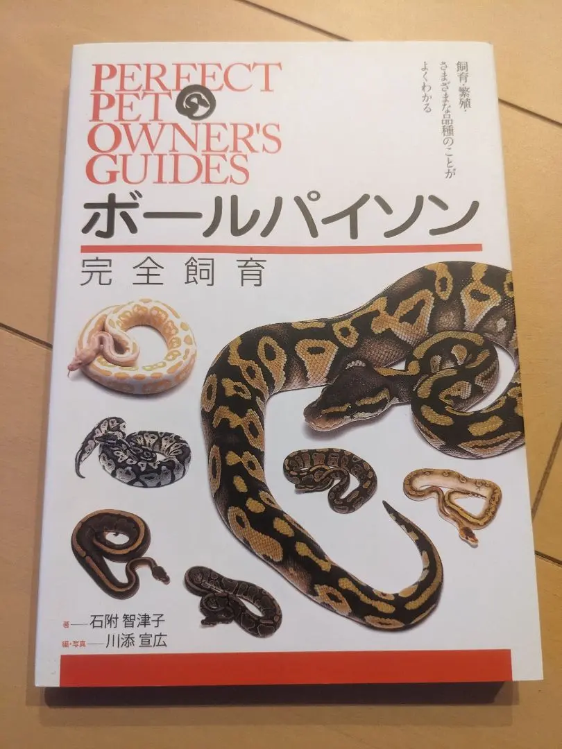 2026年最新】パーフェクトボールパイソンの人気アイテム - メルカリ