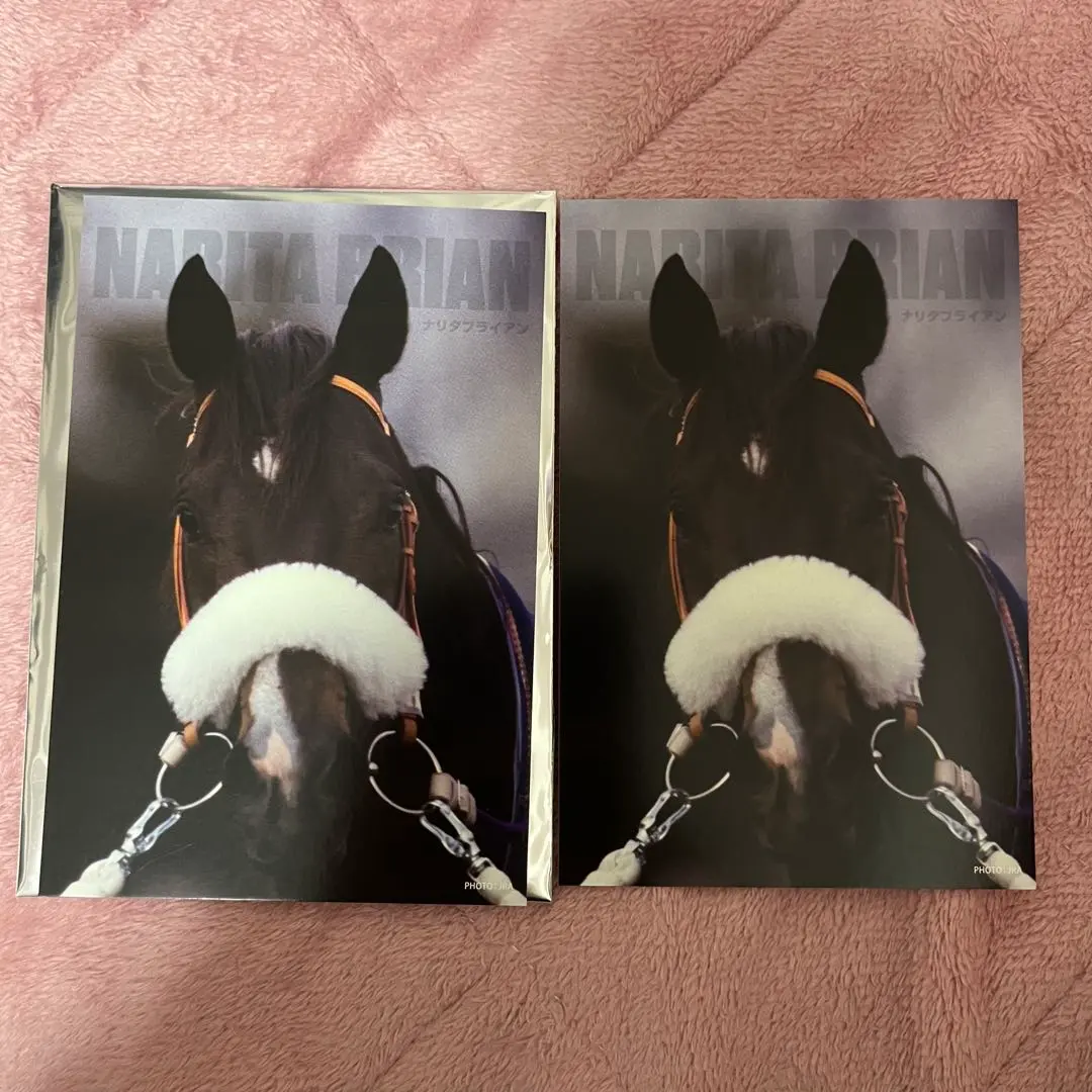 2026年最新】ナリタブライアン ポスターの人気アイテム - メルカリ