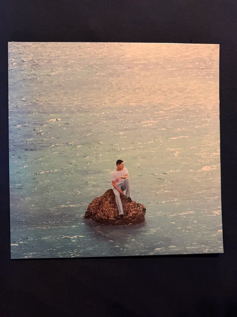 2026年最新】yo-sea sea of love レコードの人気アイテム - メルカリ