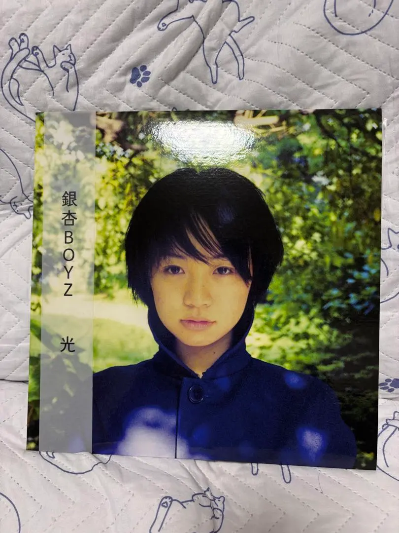 2026年最新】銀杏boyz レコード 光のの人気アイテム - メルカリ