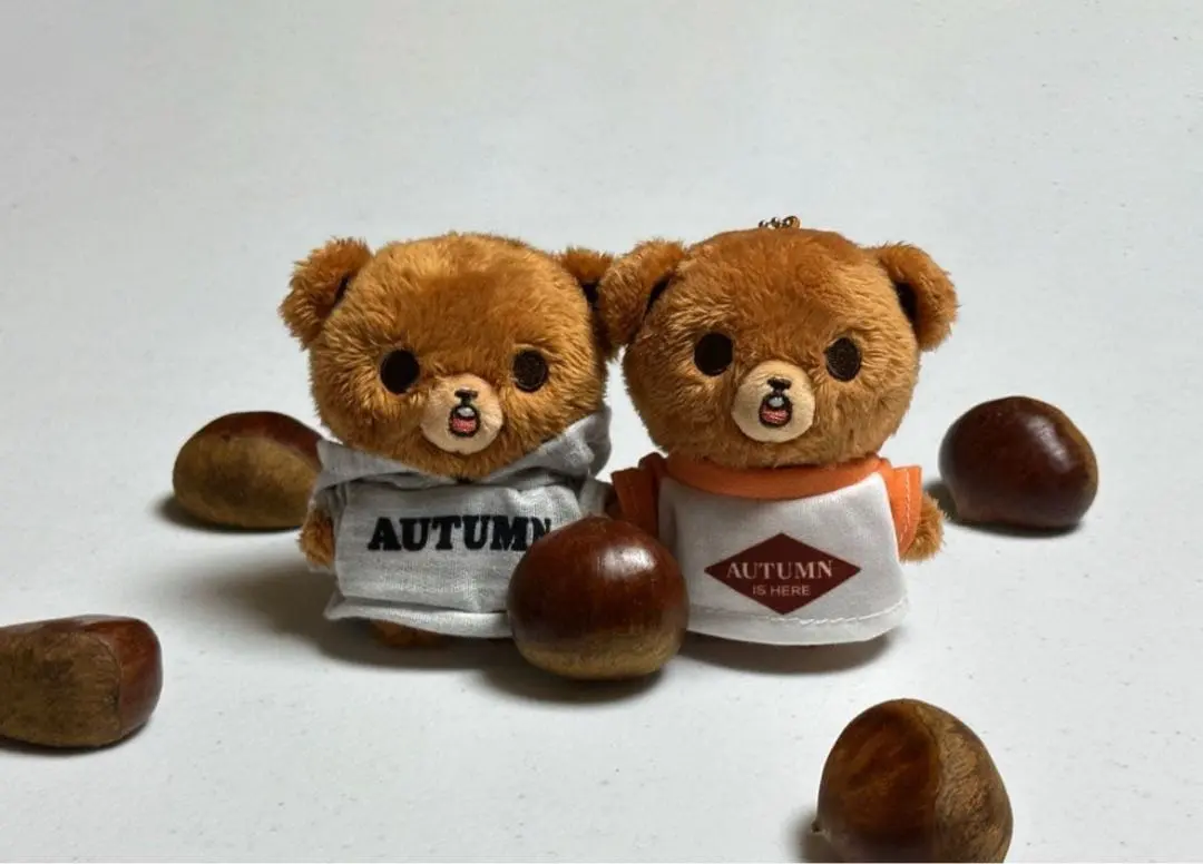 2026年最新】ヘチャン ぬいぐるみ 이곰도の人気アイテム - メルカリ