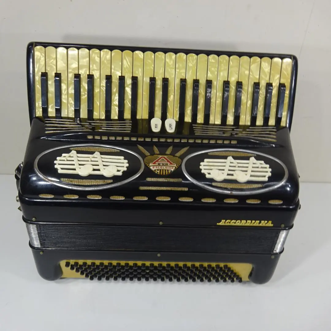 2026年最新】アコーディオン 41鍵盤の人気アイテム - メルカリ