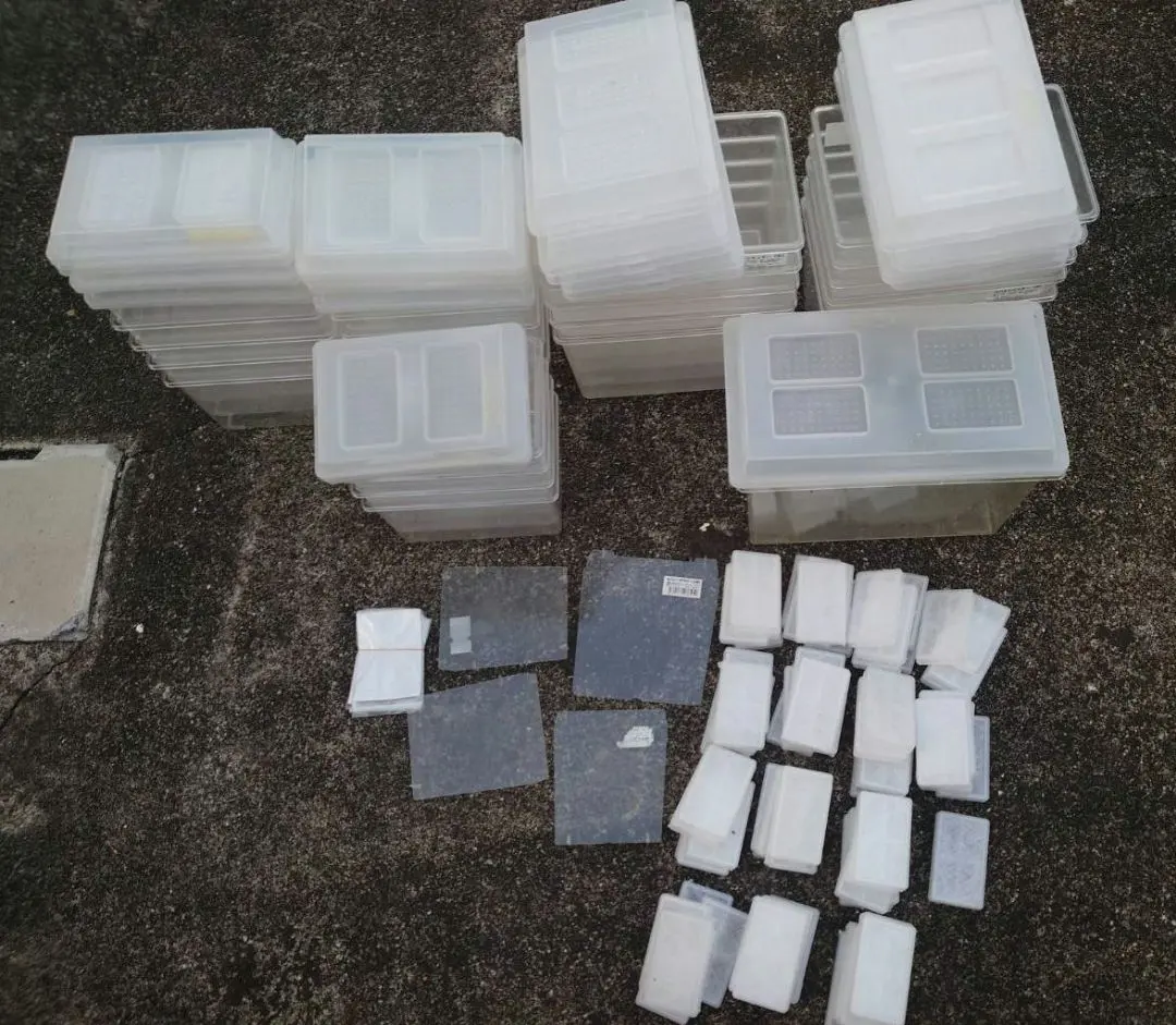 2026年最新】コバエシャッターの人気アイテム - メルカリ