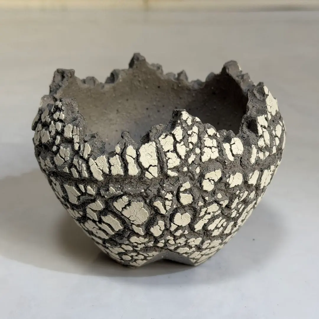 2026年最新】fang konectの人気アイテム - メルカリ