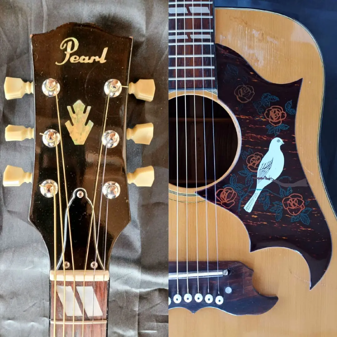 2026年最新】pearl ハミングバード アコースティックギターの人気