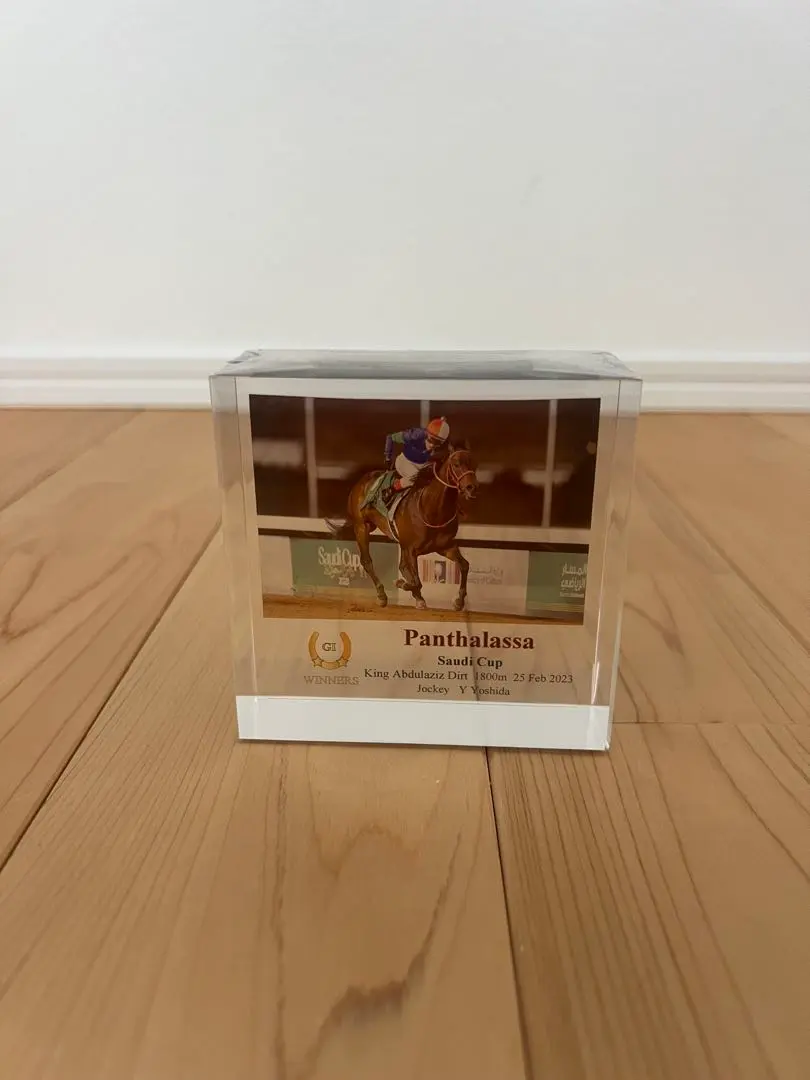 2026年最新】パンサラッサ サウジカップの人気アイテム - メルカリ
