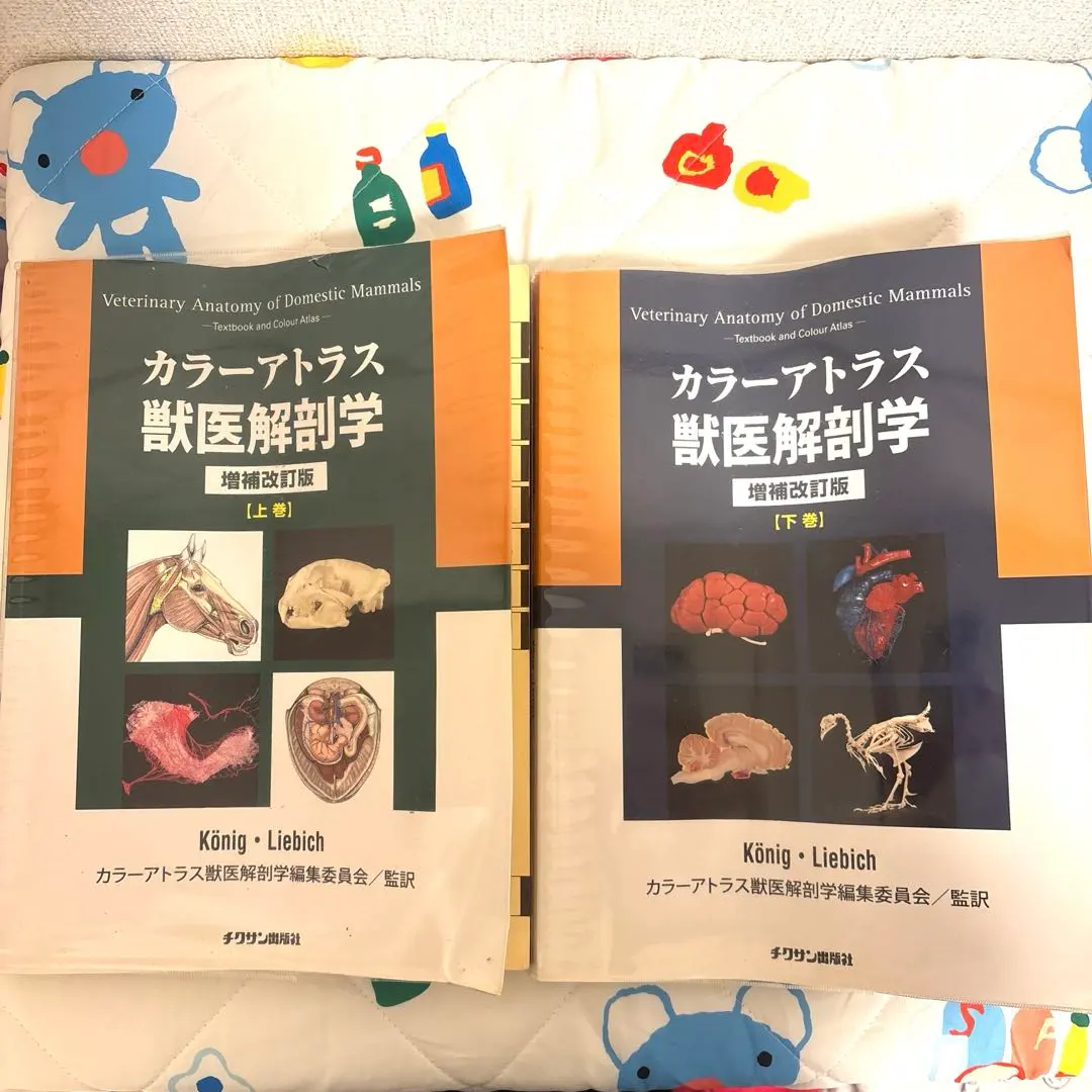 2026年最新】カラーアトラス獣医解剖学〈下巻〉の人気アイテム - メルカリ