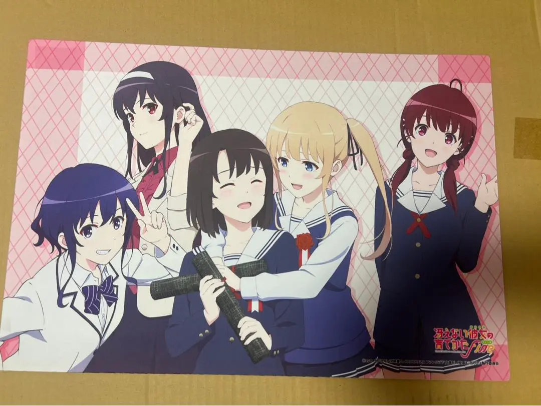 2026年最新】冴えない彼女の育てかた プレイマットの人気アイテム