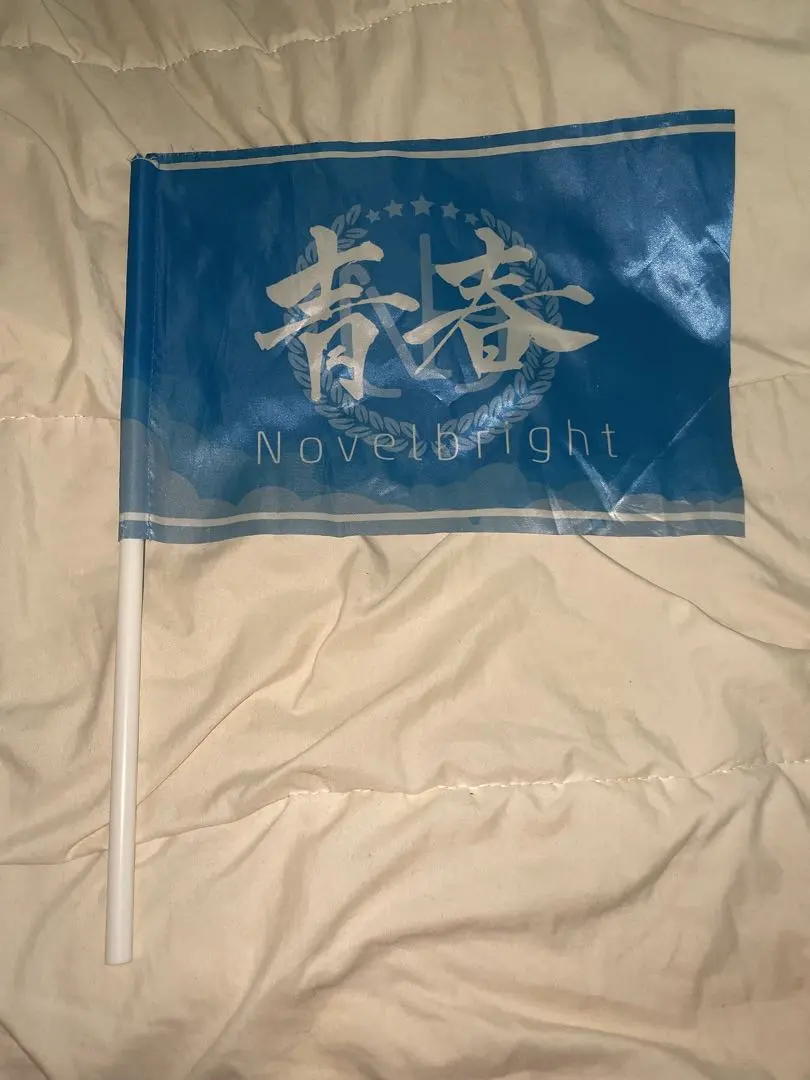 2026年最新】青春旗 novelbrightの人気アイテム - メルカリ