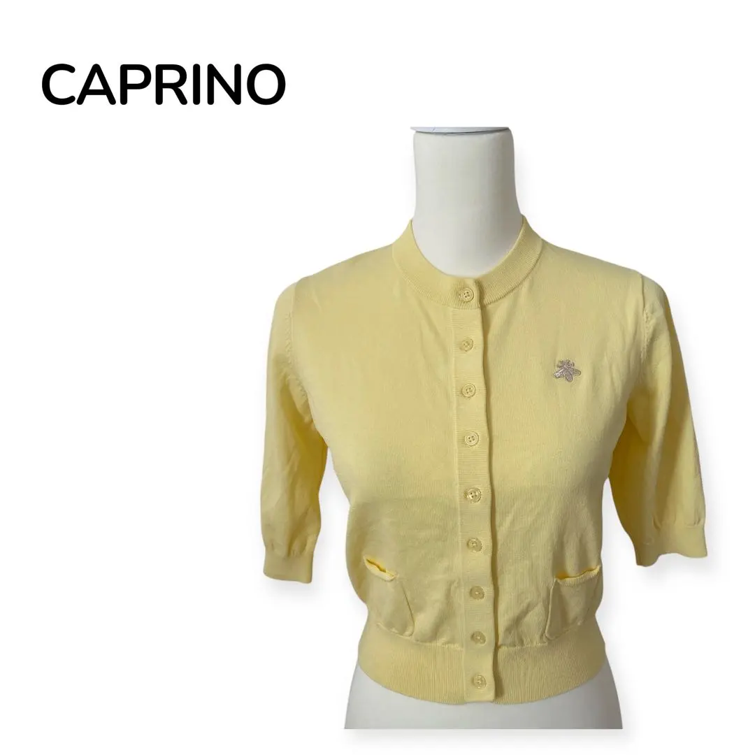 2026年最新】カプリーノ カーディガンの人気アイテム - メルカリ