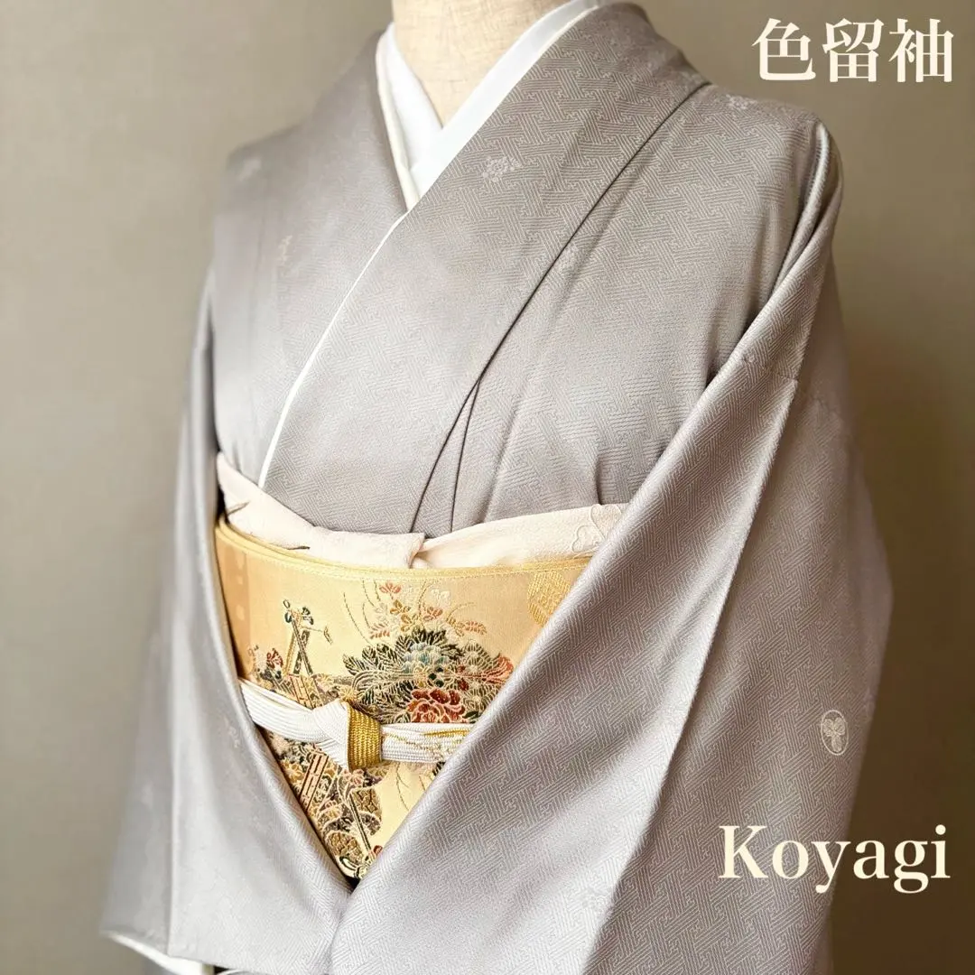 2026年最新】丸に三つ柏 留袖の人気アイテム - メルカリ