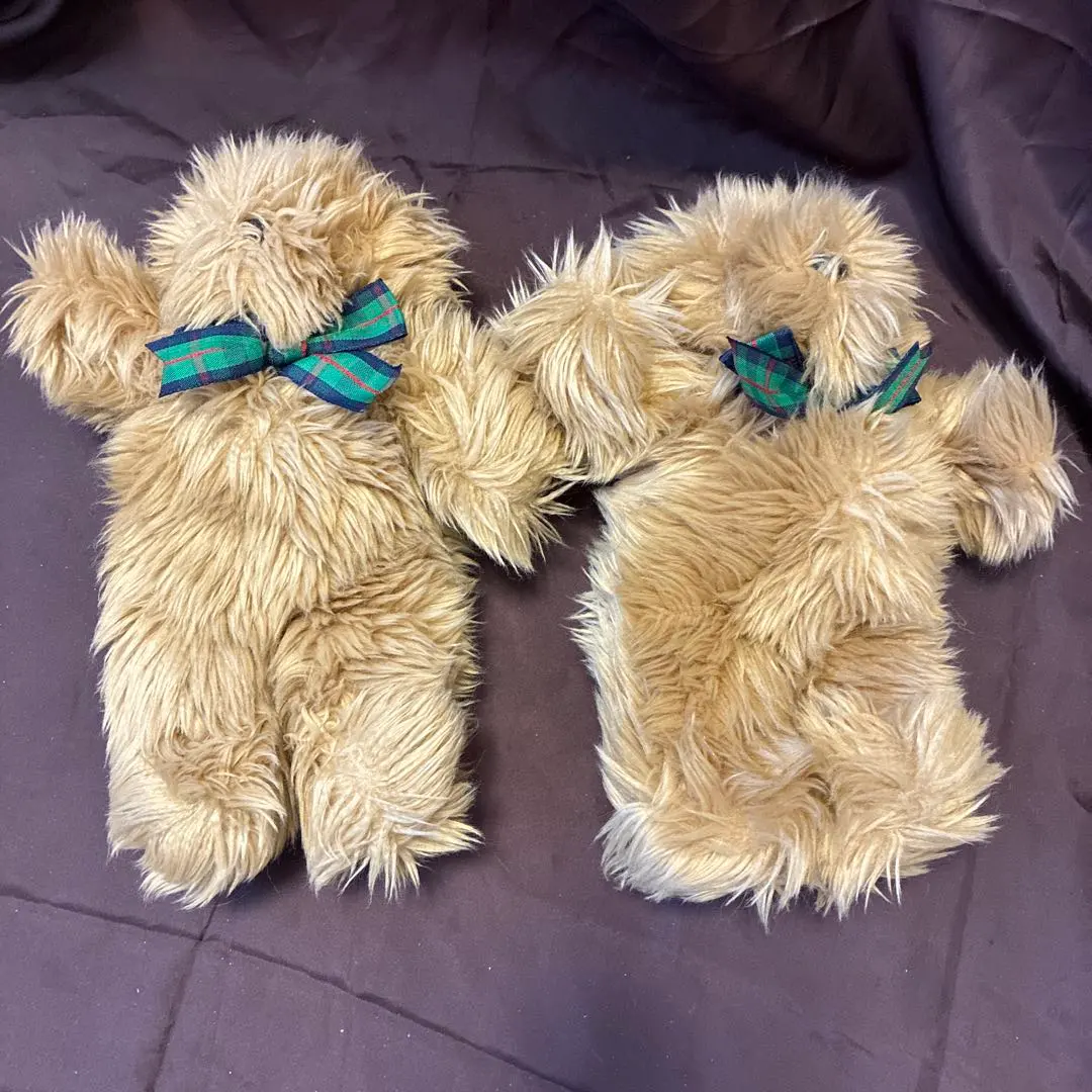 2026年最新】NORTH AMERICAN BEARの人気アイテム - メルカリ