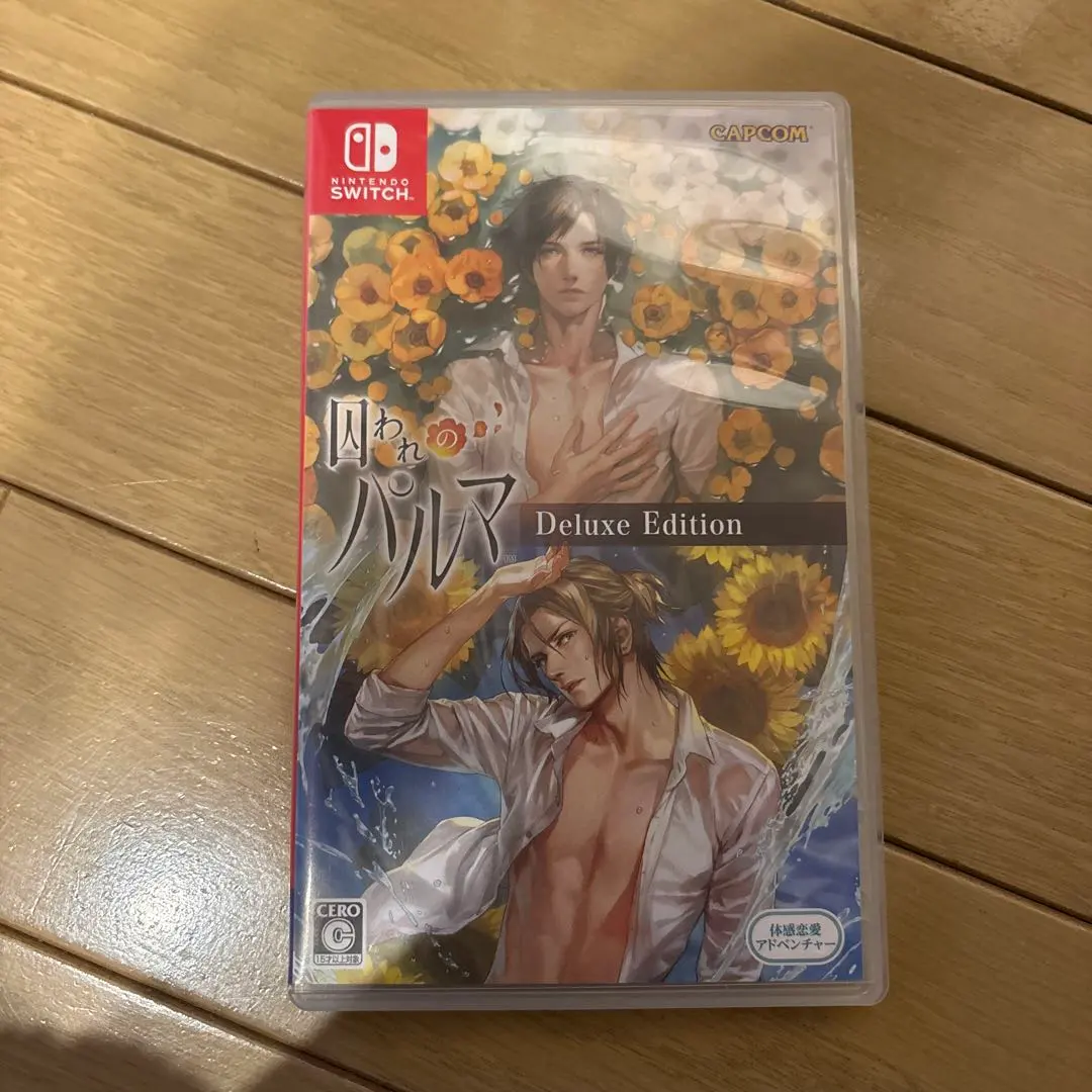 2026年最新】nintendo switch 囚われのパルマの人気アイテム - メルカリ