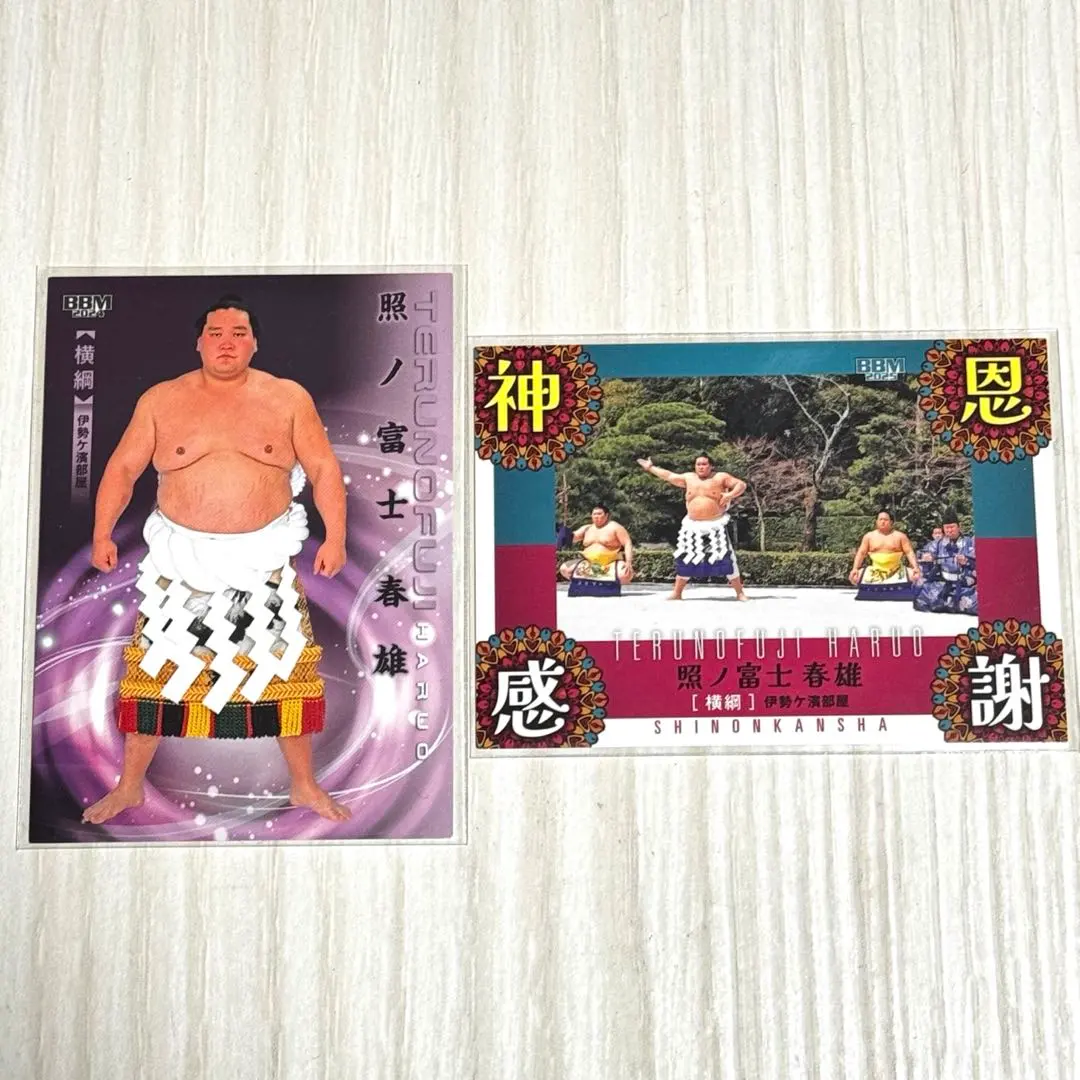 2026年最新】横綱 土俵入の人気アイテム - メルカリ