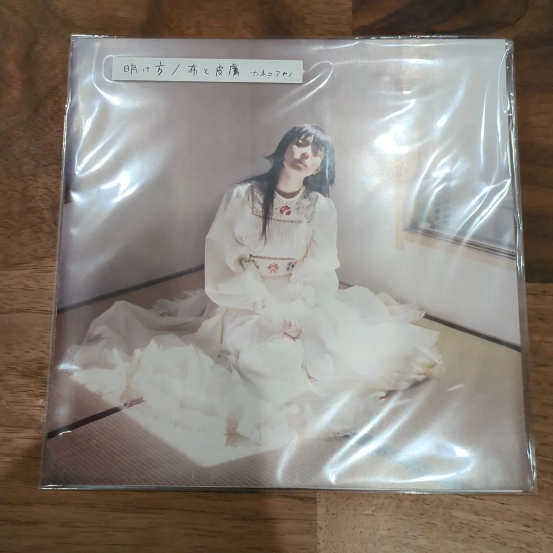 2026年最新】カネコアヤノ 燦々 レコードの人気アイテム - メルカリ